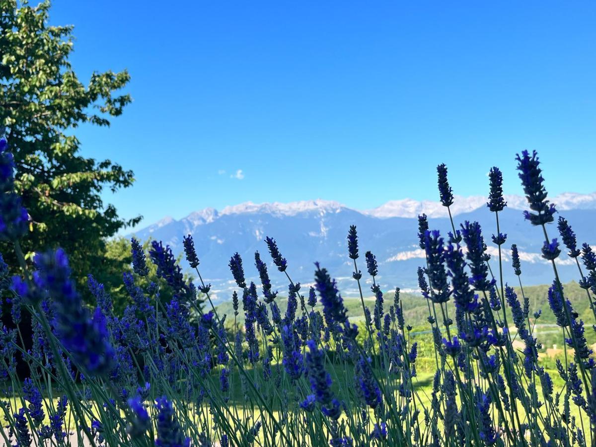 Ciasa Erica - Val Di Non Appartement Predaia Buitenkant foto