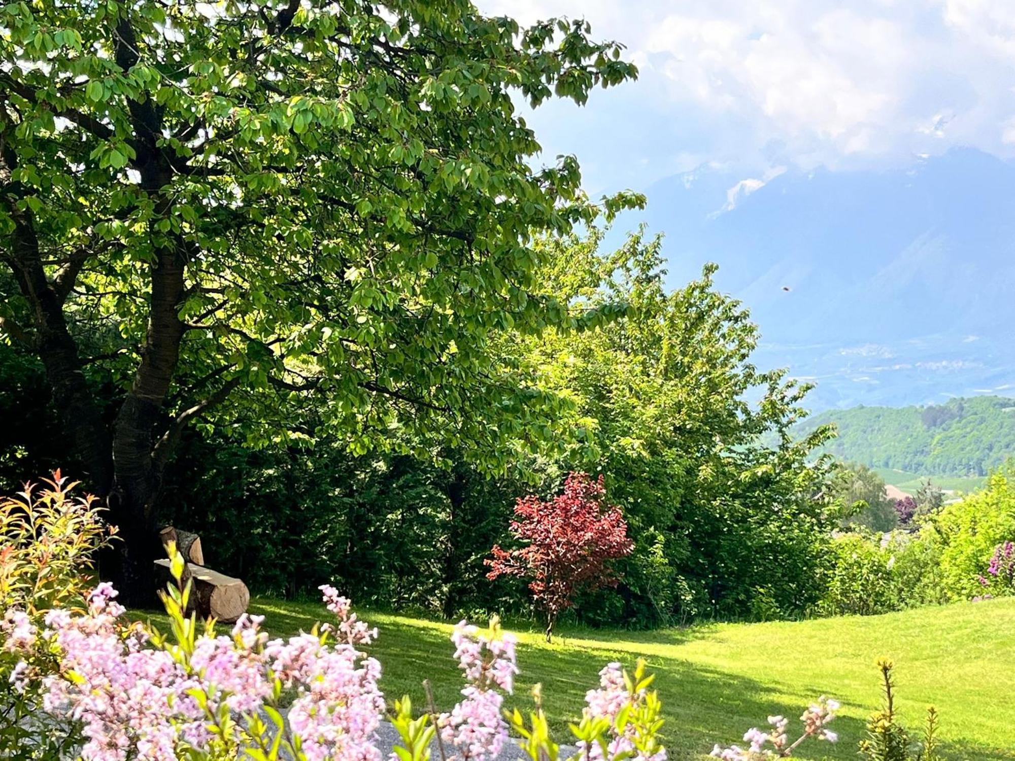 Ciasa Erica - Val Di Non Appartement Predaia Buitenkant foto