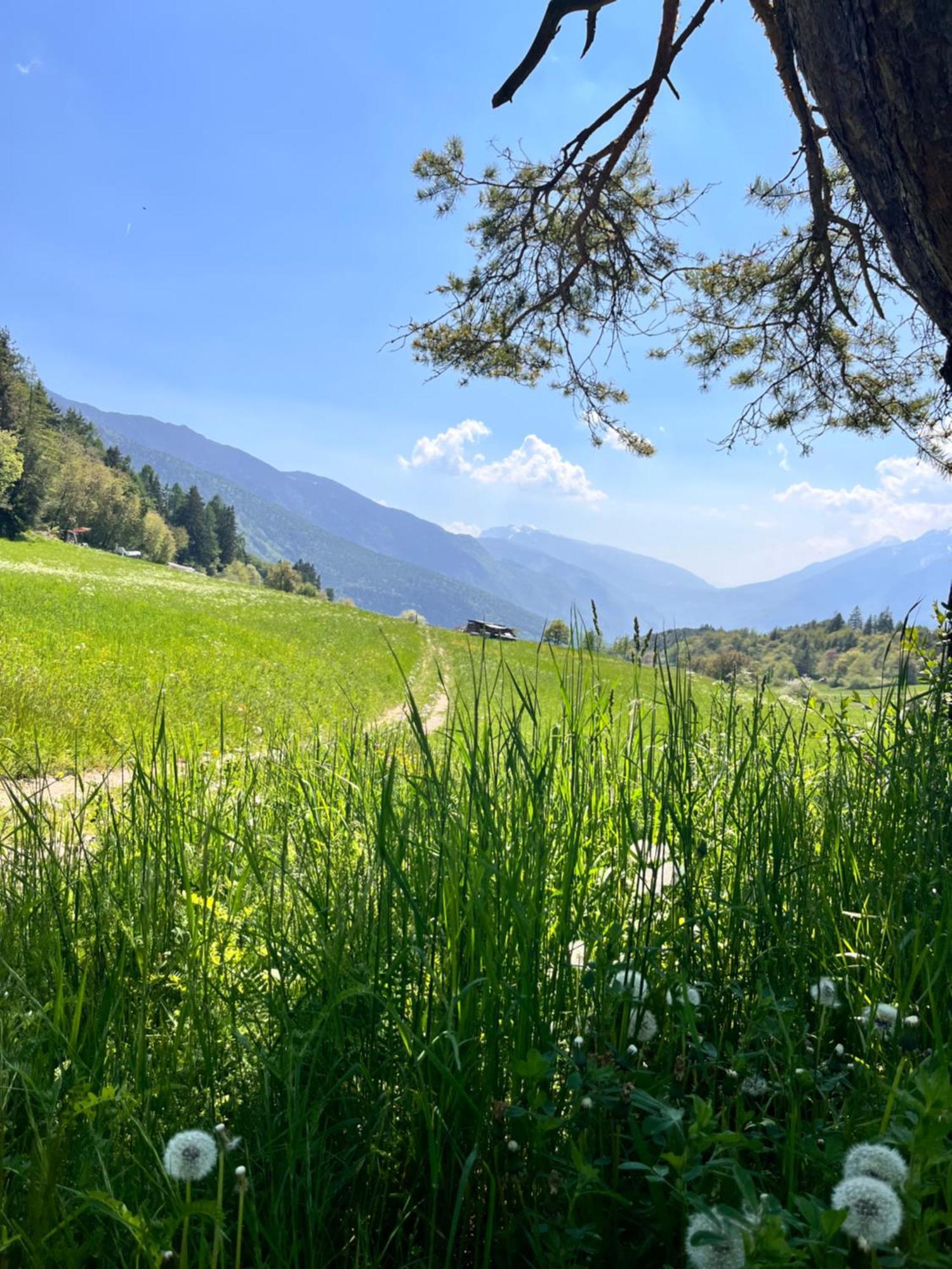 Ciasa Erica - Val Di Non Appartement Predaia Buitenkant foto